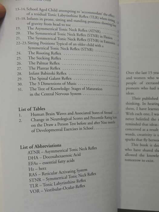 The Well Balanced Child: Movement And Early Learning - Sally Goddard Blythe