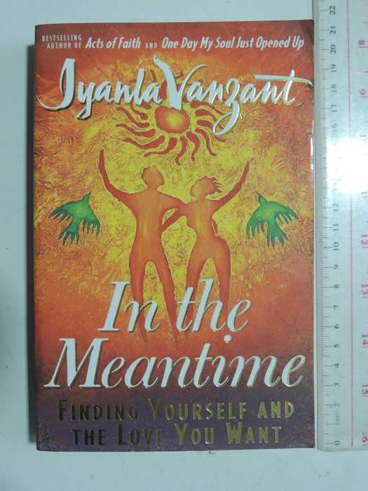 In The Meantime - Finding Yourself And The Love You Want - Inyanla Vanzant