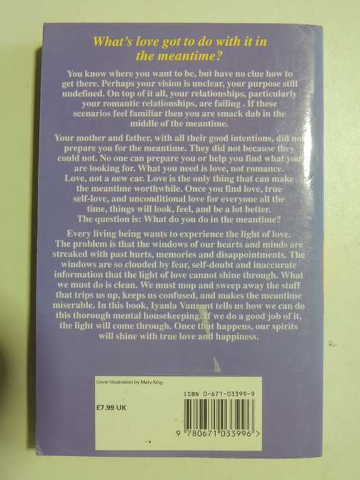 In The Meantime - Finding Yourself And The Love You Want - Inyanla Vanzant