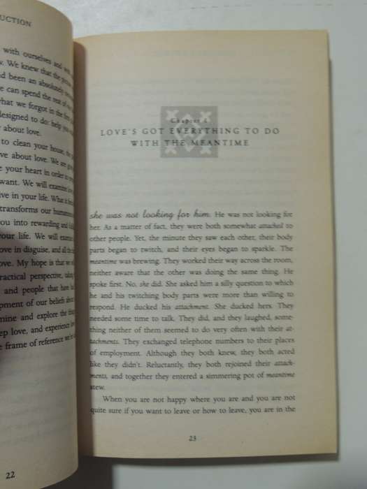In The Meantime - Finding Yourself And The Love You Want - Inyanla Vanzant
