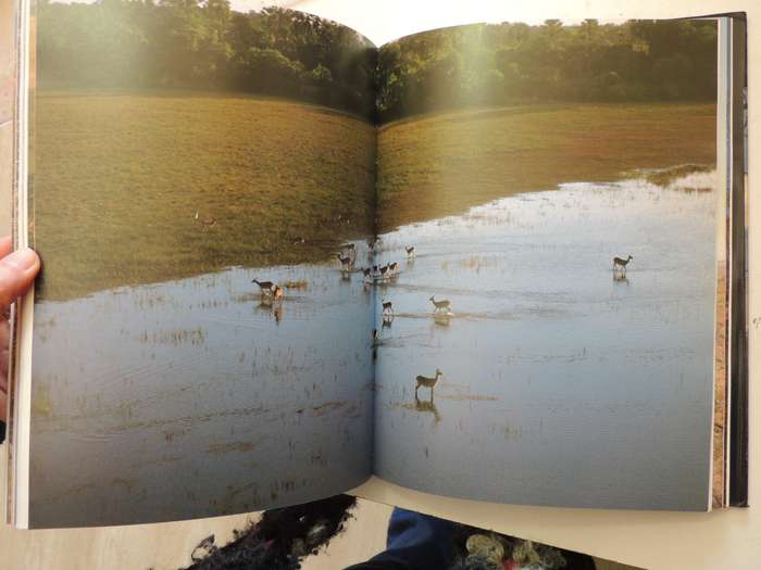 The Lost World Of The Kalahari (Illustrated Edition 1988) - Laurens Van Der Post