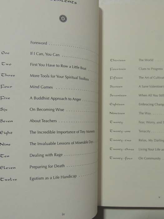 Stumbling Towards Enlightenment- Geri Larkin