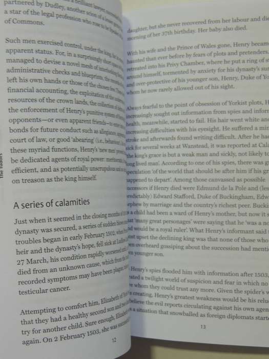 The Tudors: A Very Short Introduction - John Guy
