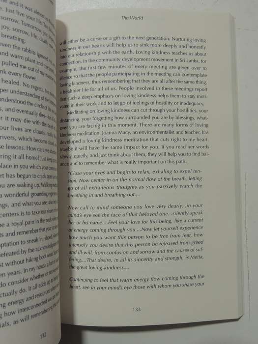 Stumbling Towards Enlightenment- Geri Larkin