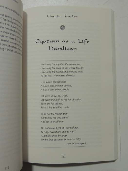 Stumbling Towards Enlightenment- Geri Larkin