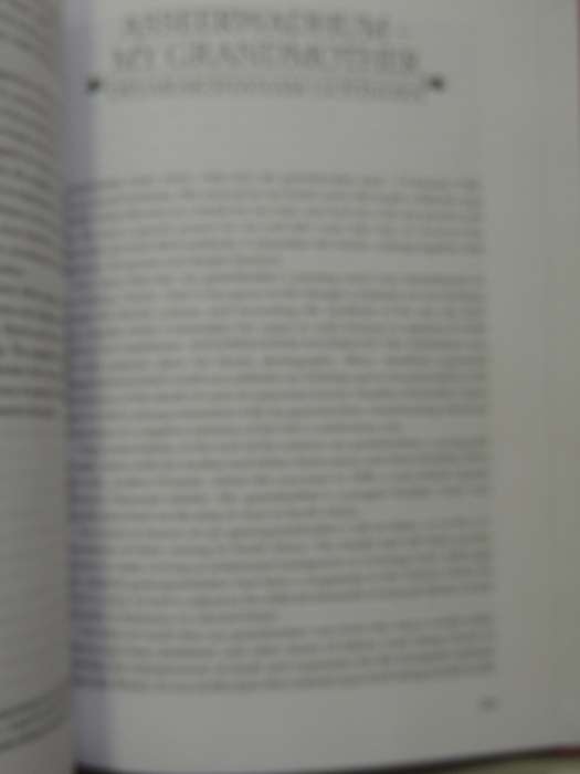 The Vintage Book of South African Indian Writing - Rajendra Chetty