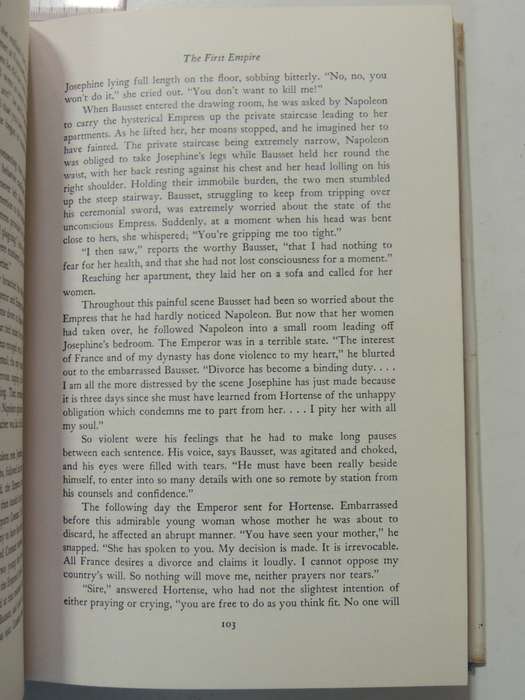 The Golden Bees: The Story Of The Bonapartes - Theo Aronson