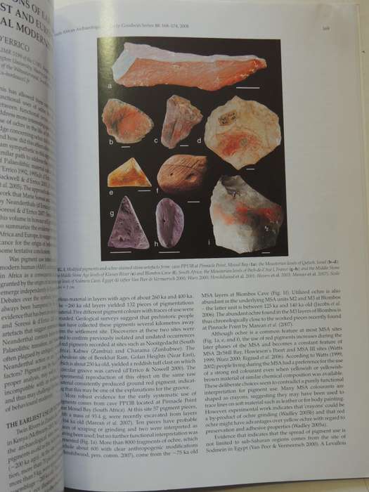 South African Archaeological Society Goodwin Series Volume 10 December 2008: Current Themes In Middl