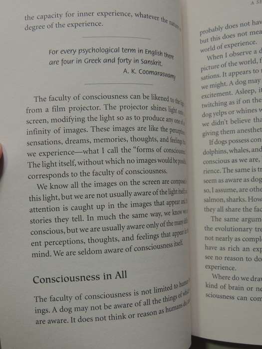 From Science To God: A Physicist's Journey Into The Mystery Of Consciousness - Peter Russell