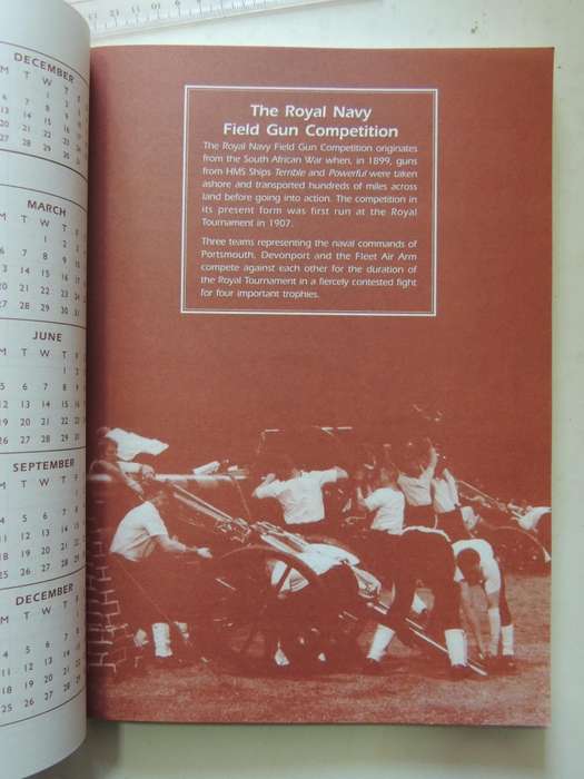 Into The Millennium: Anglo-Boer War Centenary Diary Today And 100 Years Ago compiled Maureen Richard