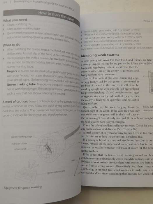 Beekeeping: A Practical Guide For Southern Africa (2nd Edition)- D. Marchand & J. Marchand-Mayne