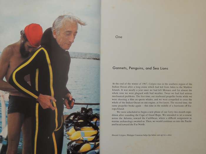 Sea Lion, Elephant Seal, Walrus - Jacques-Yves Cousteau & Philippe Diole