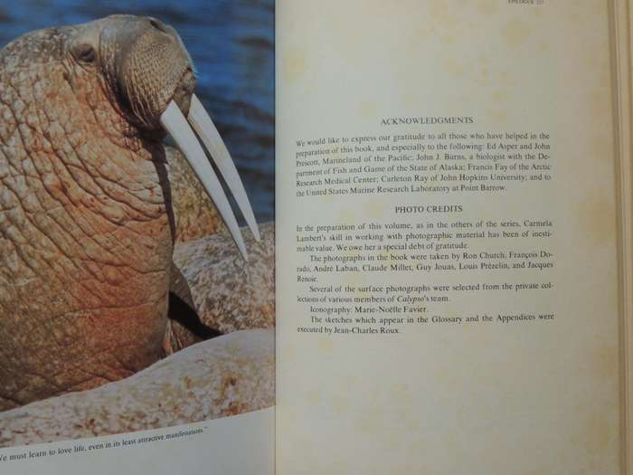 Sea Lion, Elephant Seal, Walrus - Jacques-Yves Cousteau & Philippe Diole