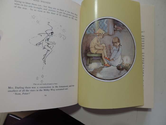 Peter Pan and Wendy- JM Barrie