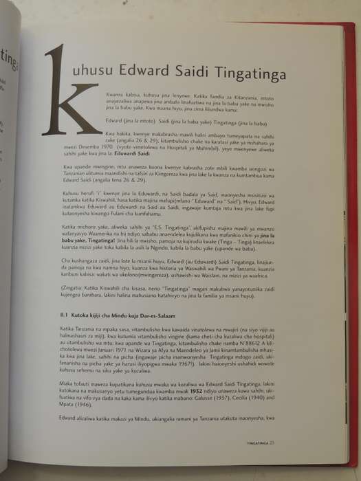 Tingatinga: The Popular Paintings From Tanzania - Yves Goscinny
