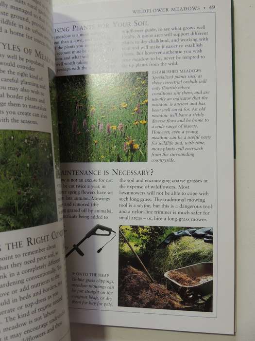 Lawns & Ground Cover - RHS Practical Guides - Geoff Stebbings