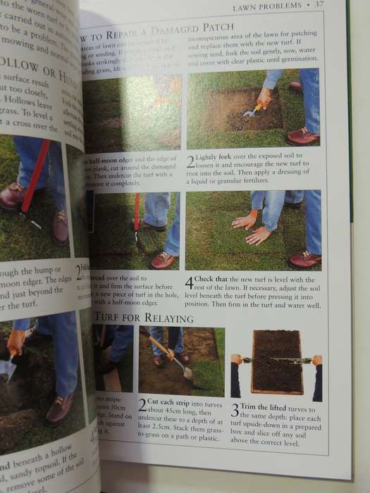 Lawns & Ground Cover - RHS Practical Guides - Geoff Stebbings