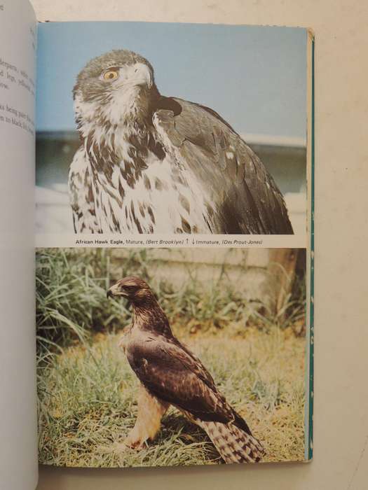 An Introduction To The Birds Of Prey Of South Africa  - D.V. Prout-Jones   (signed)