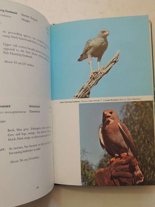 An Introduction To The Birds Of Prey Of South Africa  - D.V. Prout-Jones   (signed)