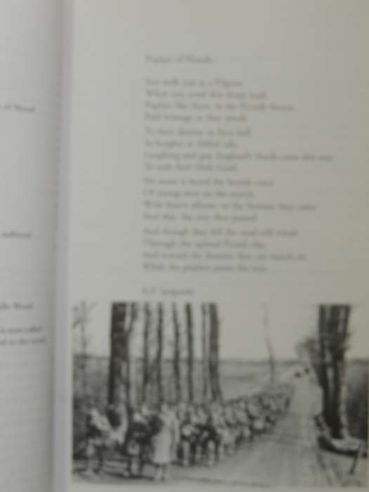 Cameos Of The Western Front: Poets & Pals Of Picardy - Mary Ellen Freeman