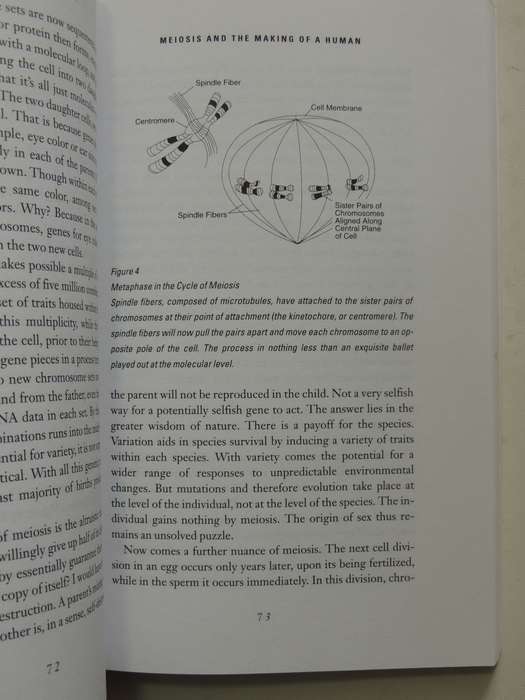 The Hidden Face Of God: Science Reveals The Ultimate Truth - Gerald L. Schroeder