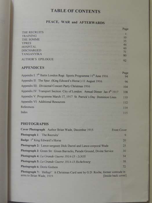 Peace, War And Afterwards 1914-1919: A Young Man's Letters Wrtten Chiefly To His Mother - Brian Wade