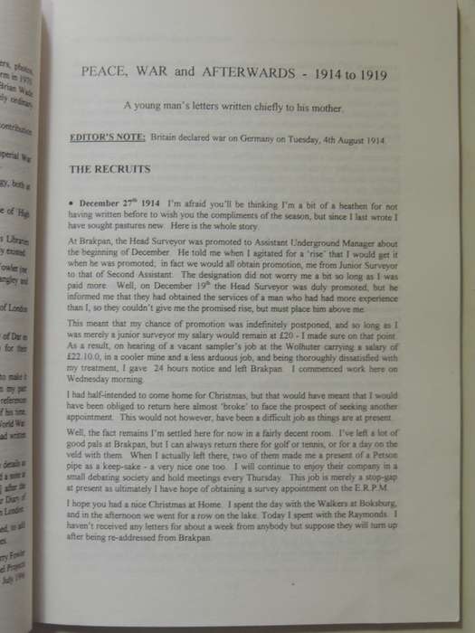 Peace, War And Afterwards 1914-1919: A Young Man's Letters Wrtten Chiefly To His Mother - Brian Wade