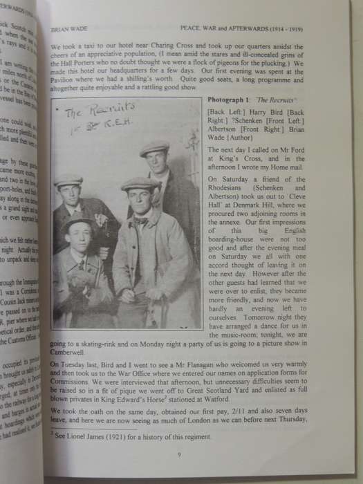 Peace, War And Afterwards 1914-1919: A Young Man's Letters Wrtten Chiefly To His Mother - Brian Wade