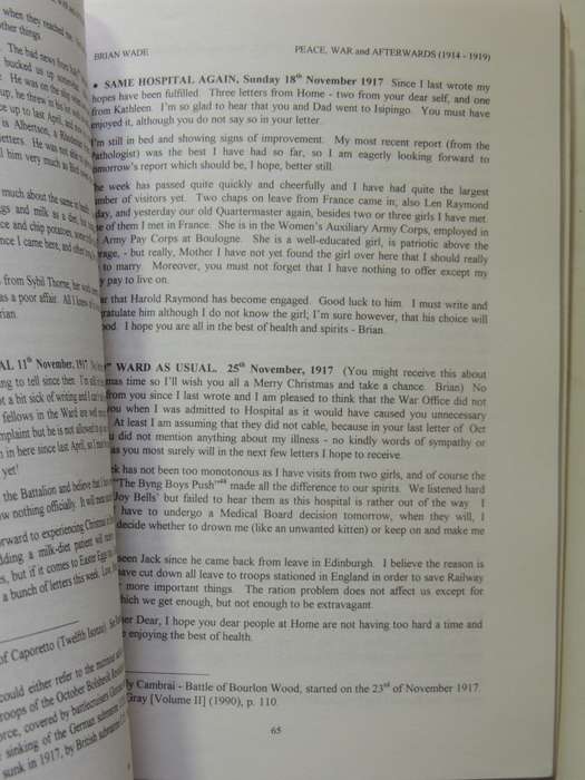 Peace, War And Afterwards 1914-1919: A Young Man's Letters Wrtten Chiefly To His Mother - Brian Wade