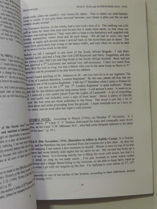 Peace, War And Afterwards 1914-1919: A Young Man's Letters Wrtten Chiefly To His Mother - Brian Wade