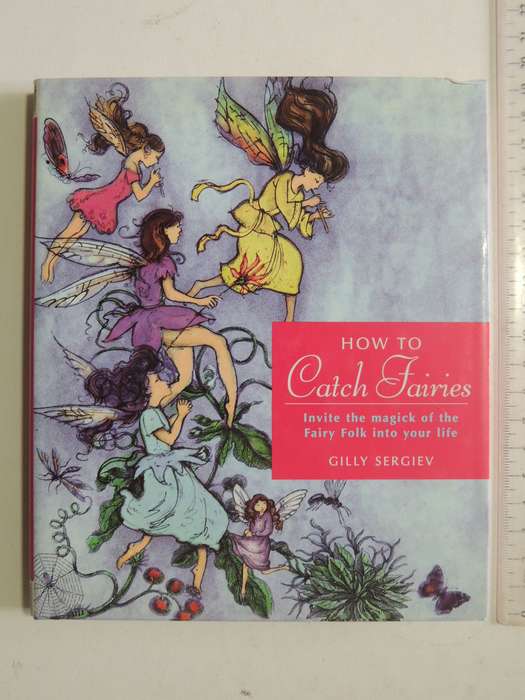 How To Catch Fairies: Invite The Magick Of The Fairy Folk Into Your Life - Gilly Sergiev