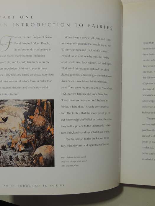 How To Catch Fairies: Invite The Magick Of The Fairy Folk Into Your Life - Gilly Sergiev