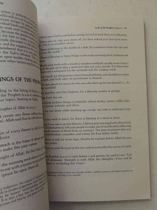 The Book of Sufi healing - Shaykh Hakim Moinuddin Chishti
