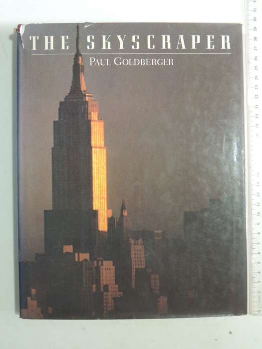 The Skyscraper- Paul Goldberger