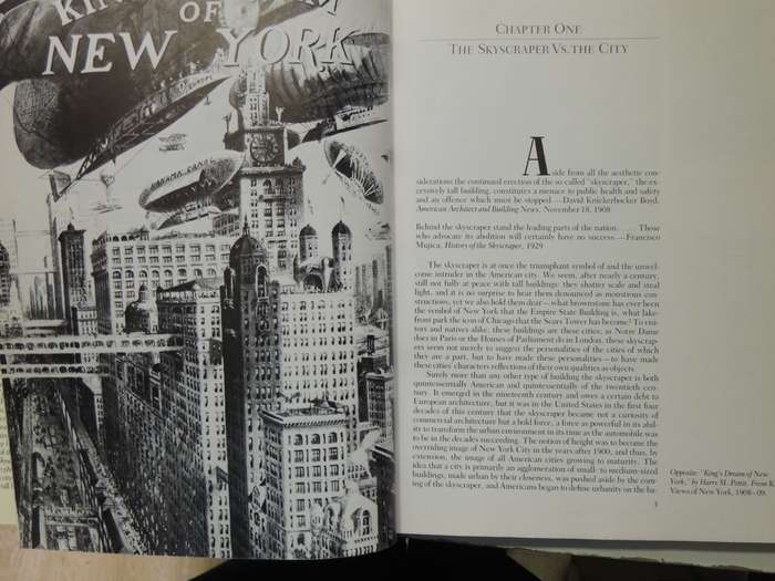 The Skyscraper- Paul Goldberger