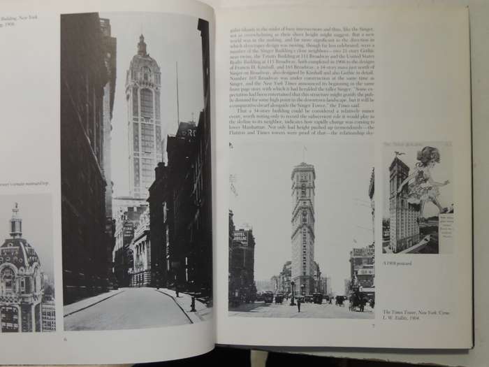 The Skyscraper- Paul Goldberger