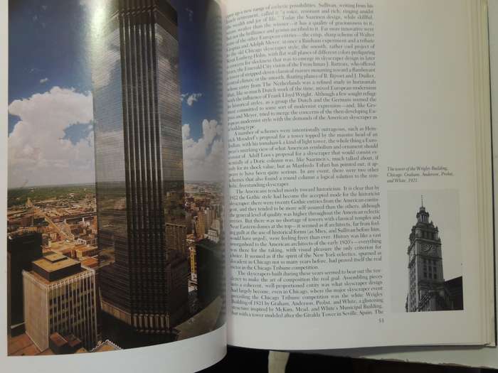 The Skyscraper- Paul Goldberger