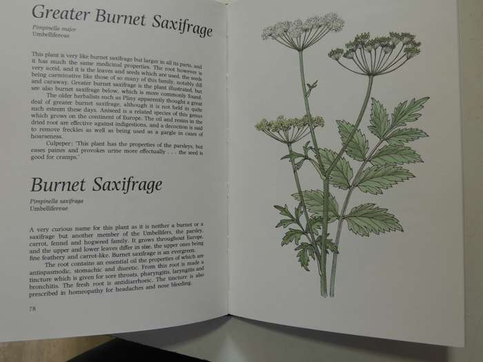 Common Plants As Natural Remedies - Cynthia Wickham