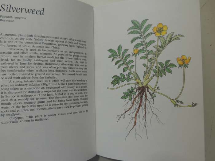 Common Plants As Natural Remedies - Cynthia Wickham