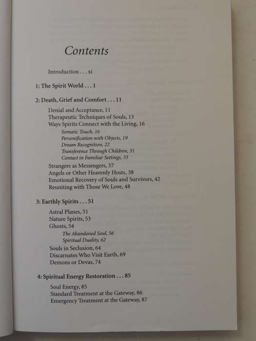 Destiny of Souls - New Case Studies Between Lives - Michael Newton