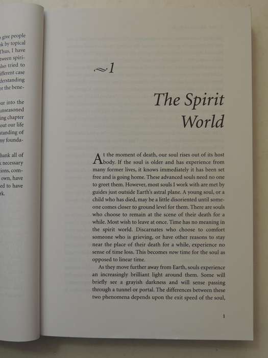 Destiny of Souls - New Case Studies Between Lives - Michael Newton