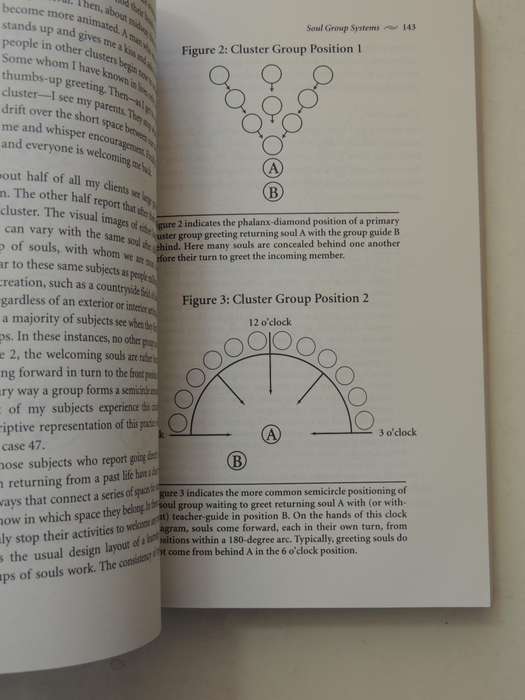 Destiny of Souls - New Case Studies Between Lives - Michael Newton