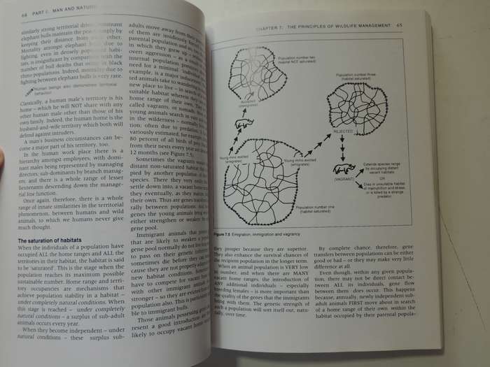 A Game Warden's Report, The State of Wildlife in Africa at the Start of the Millenium - Ron Thomson