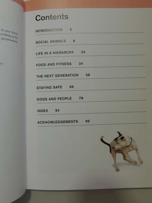 What is My Dog Thinking? The Essential Guide to Understanding Pet Behavious - Gwen Bailey
