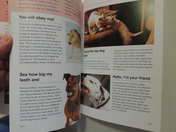 What is My Dog Thinking? The Essential Guide to Understanding Pet Behavious - Gwen Bailey
