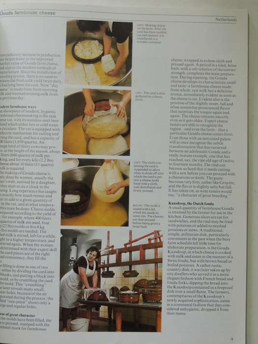 The Great International Cheese Board - Nancy Eekhof-Stork