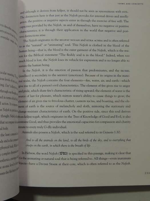 The Kabbalah Handbook: Concise Encyclopedia Of Terms & Concepts In Jewish MysticismGabriella Samuel