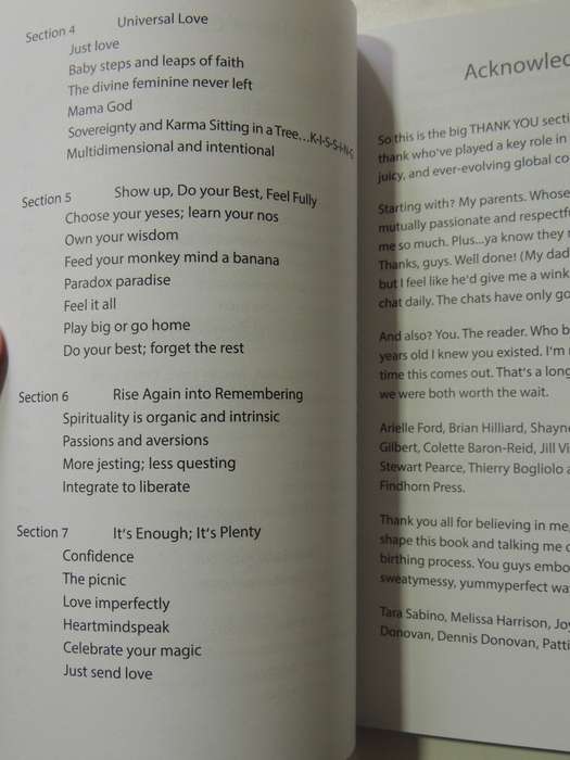 Dear Human: A Manifesto Of Love, Invitation And Invocation To Humanity - Courtney Walsh
