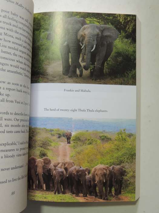 The Elephants of Thula Thula - Francoise Malby-Anthony