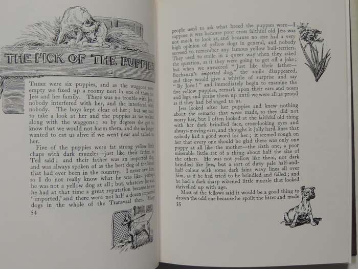 Jock of the Bushveld - Sir Percy Fitzpatrick - 1988